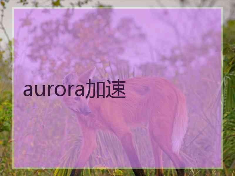 aurora加速