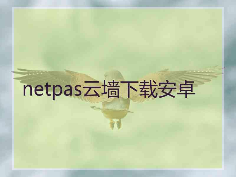 netpas云墙下载安卓