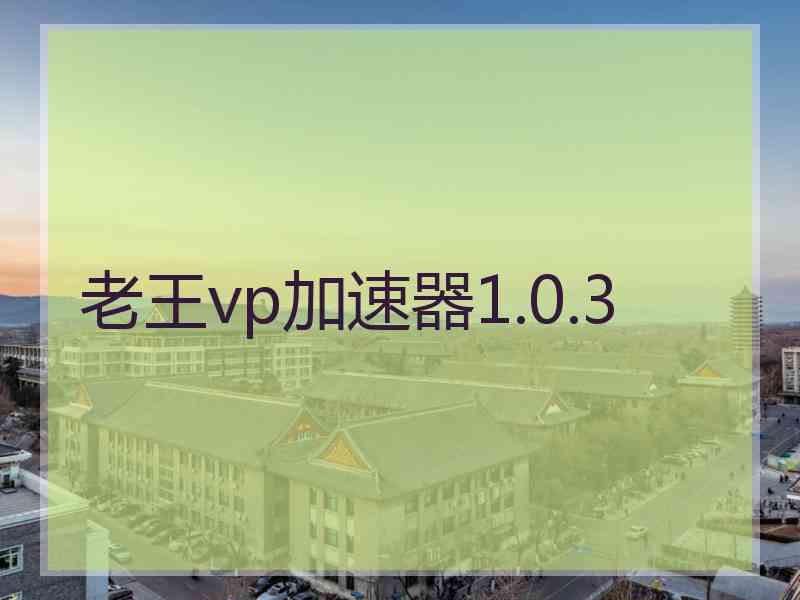 老王vp加速器1.0.3