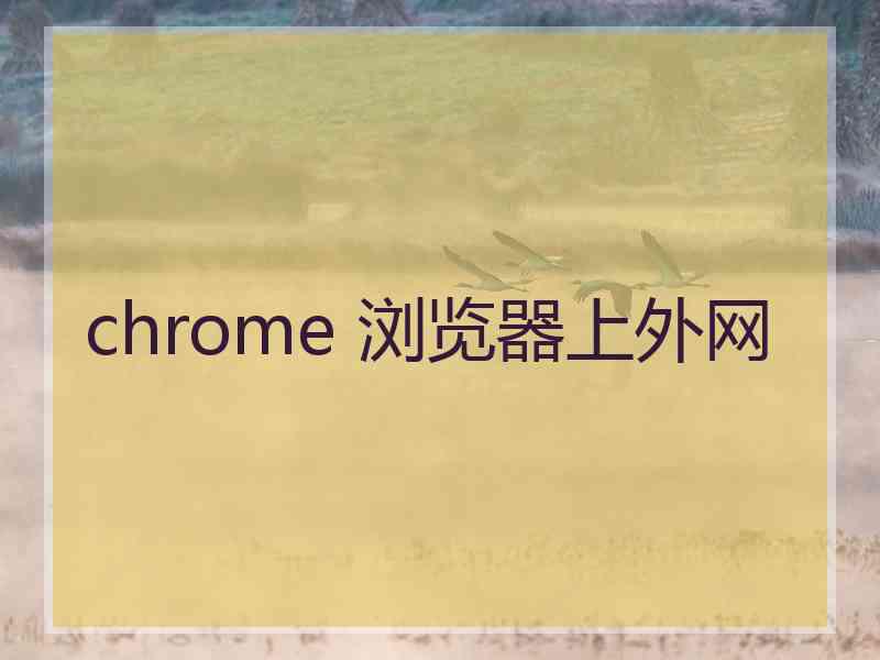 chrome 浏览器上外网