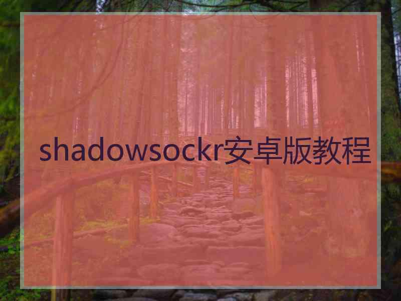 shadowsockr安卓版教程