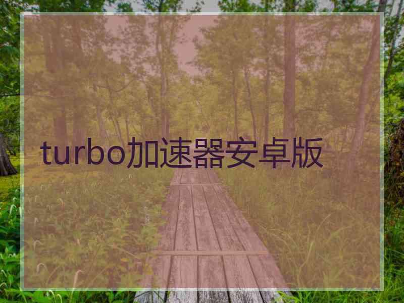 turbo加速器安卓版