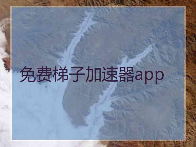 免费梯子加速器app