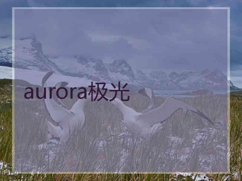 aurora极光