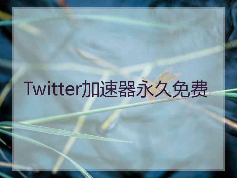 Twitter加速器永久免费