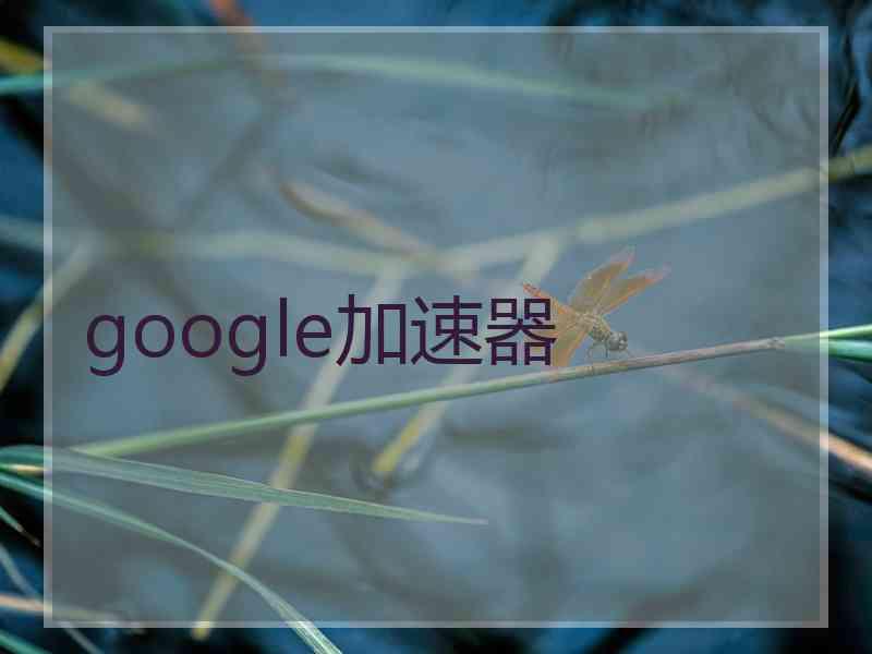 google加速器