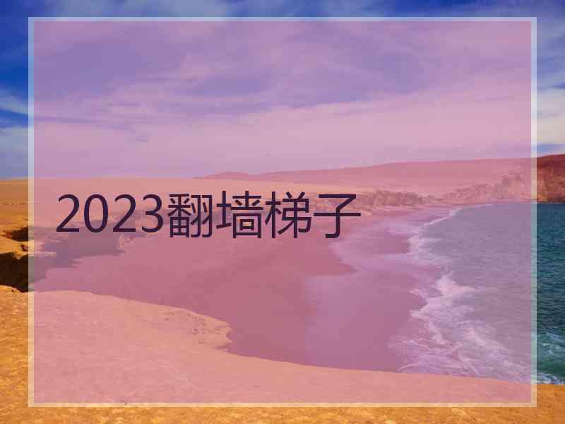 2023翻墙梯子