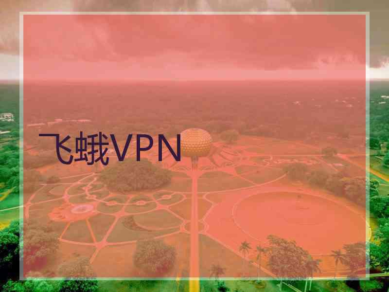 飞蛾VPN