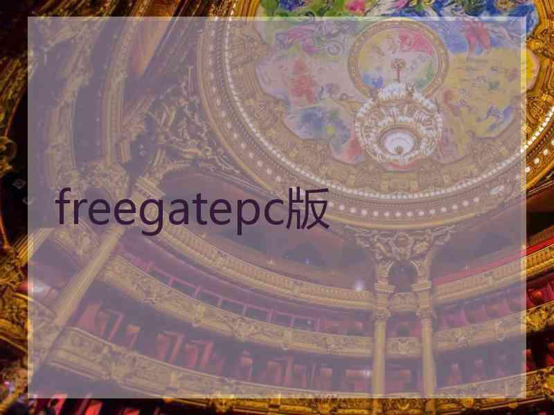 freegatepc版