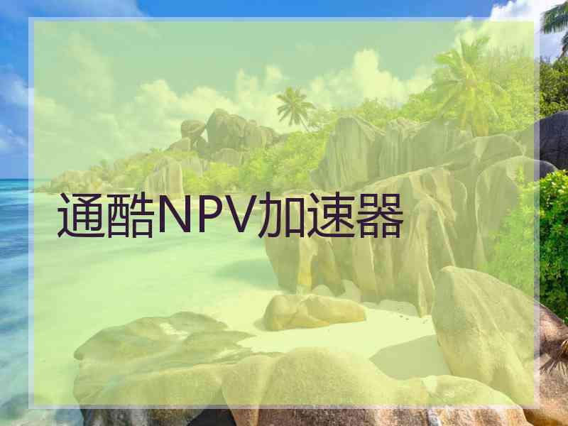 通酷NPV加速器