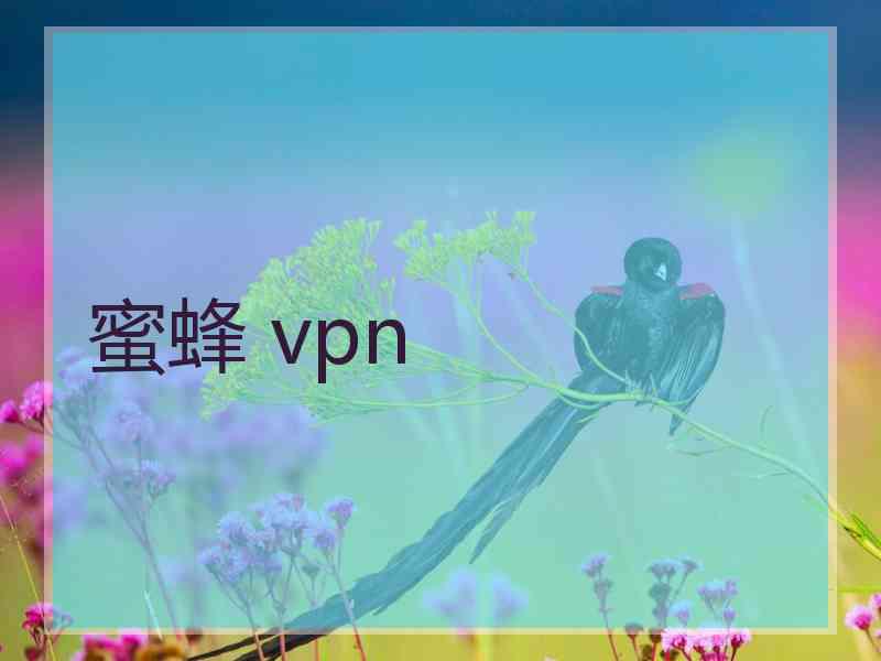 蜜蜂 vpn