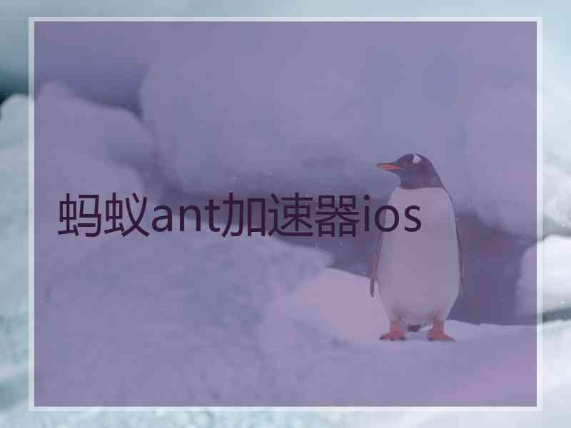 蚂蚁ant加速器ios