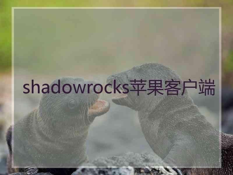 shadowrocks苹果客户端