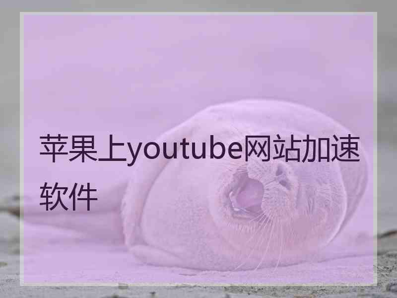 苹果上youtube网站加速软件