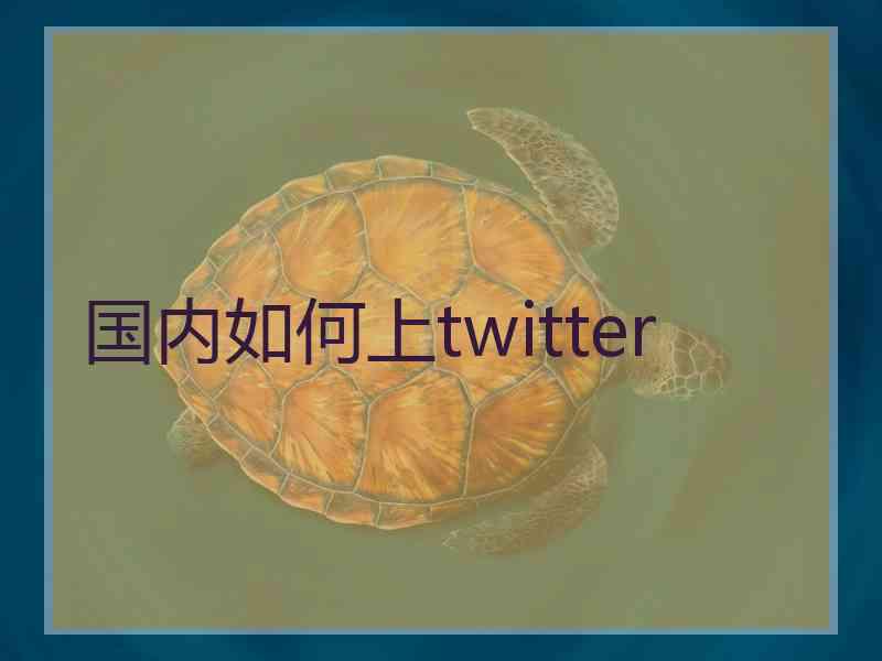 国内如何上twitter