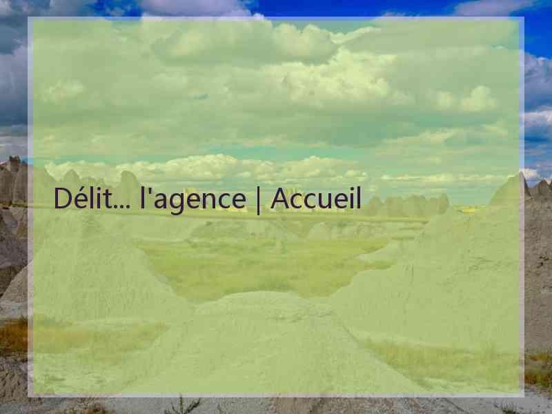 Délit... l'agence | Accueil