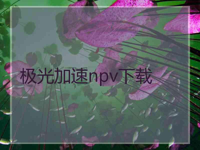 极光加速npv下载