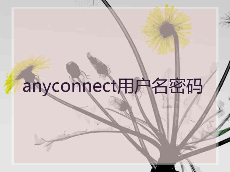 anyconnect用户名密码