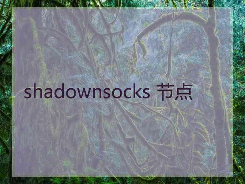 shadownsocks 节点