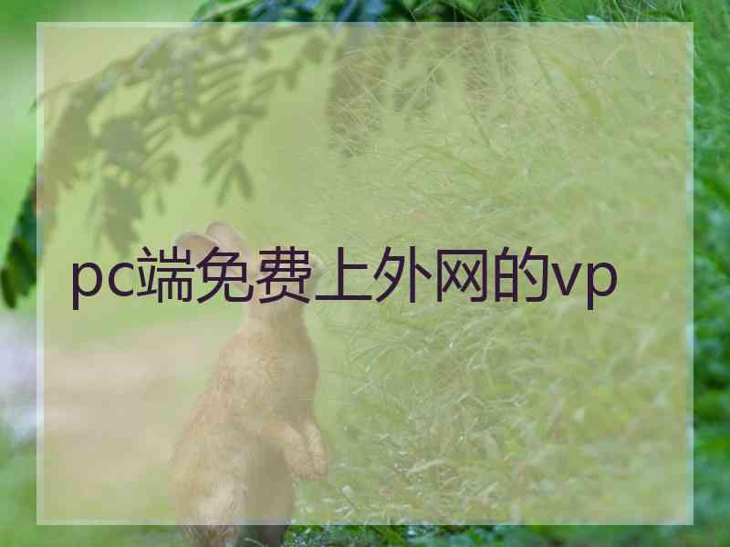 pc端免费上外网的vp