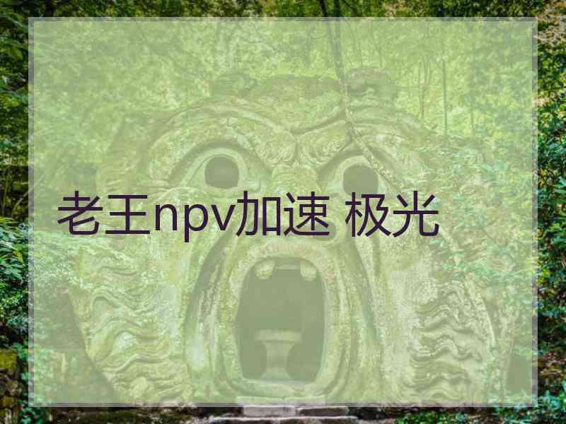 老王npv加速 极光