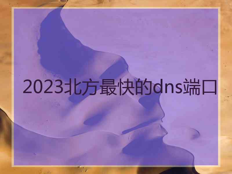 2023北方最快的dns端口