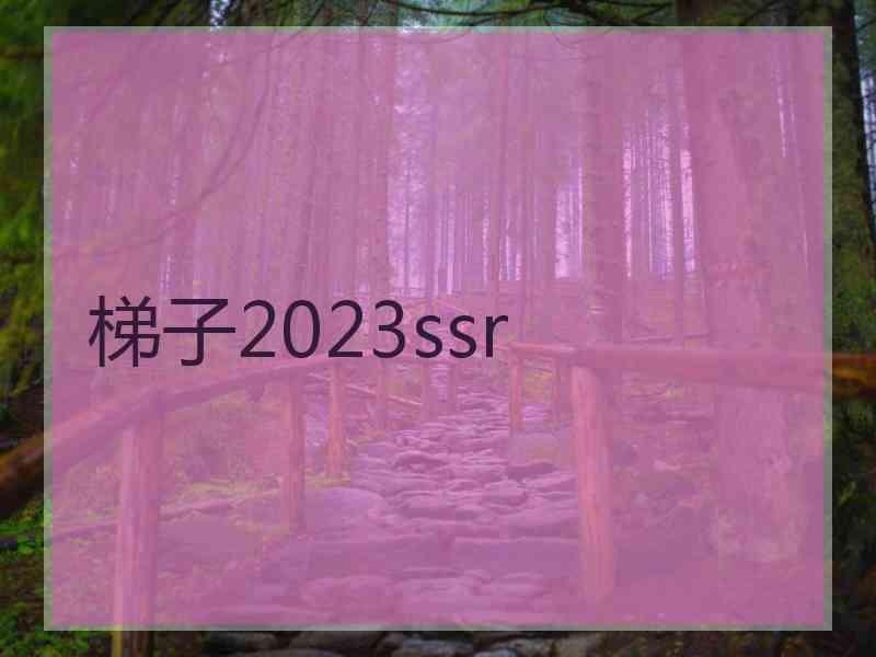 梯子2023ssr