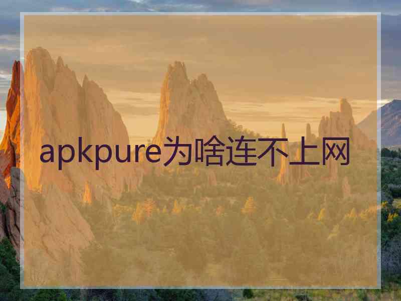 apkpure为啥连不上网