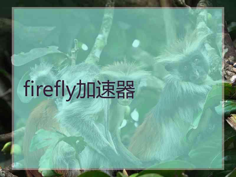 firefly加速器