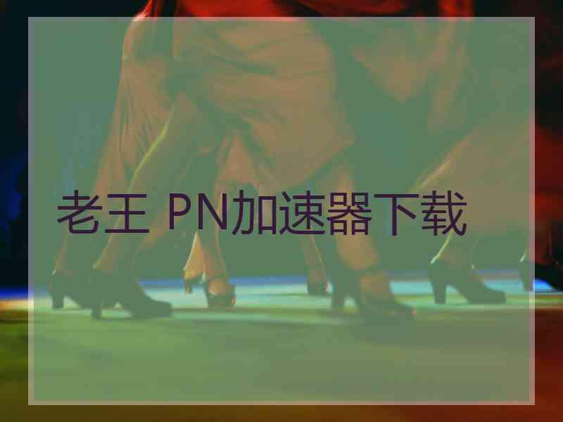 老王 PN加速器下载