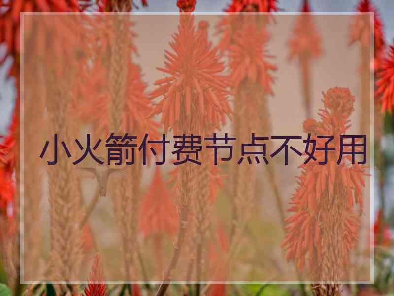 小火箭付费节点不好用