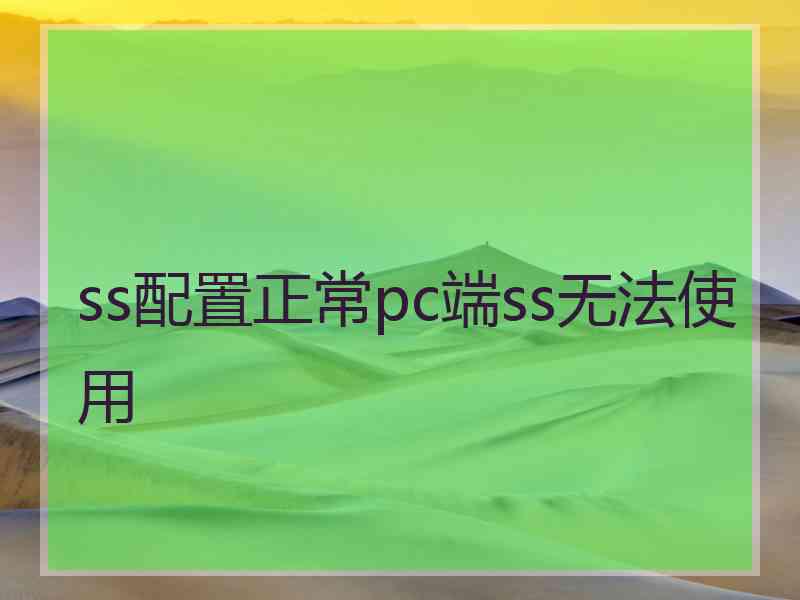 ss配置正常pc端ss无法使用