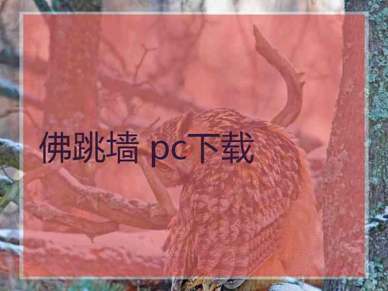 佛跳墙 pc下载