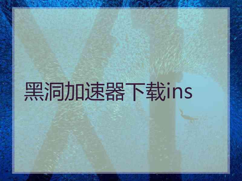 黑洞加速器下载ins