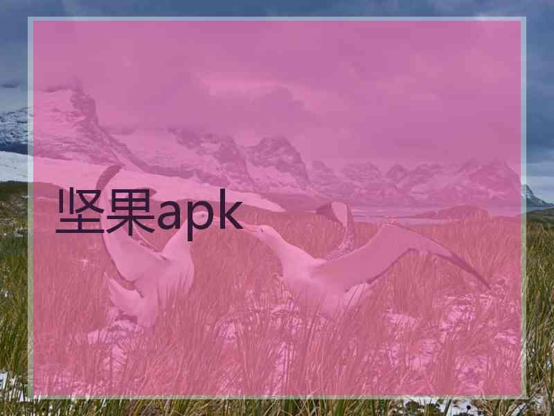 坚果apk