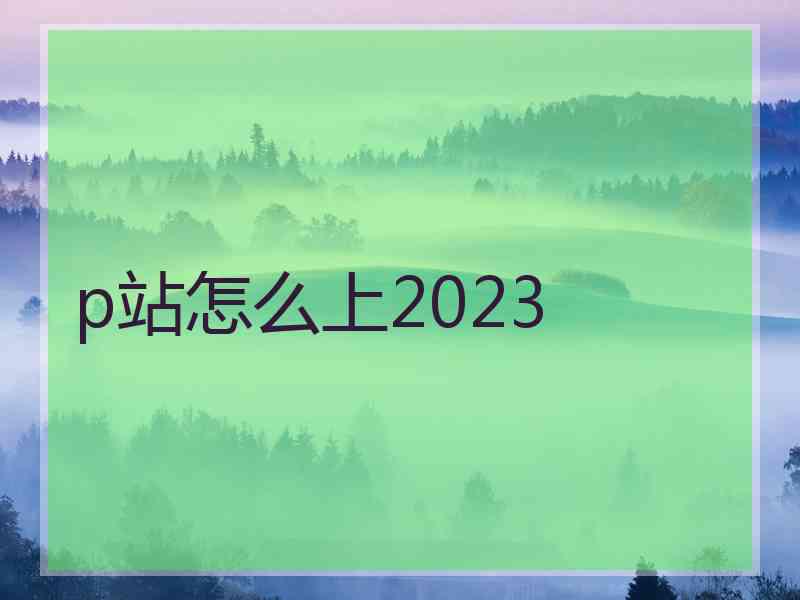 p站怎么上2023