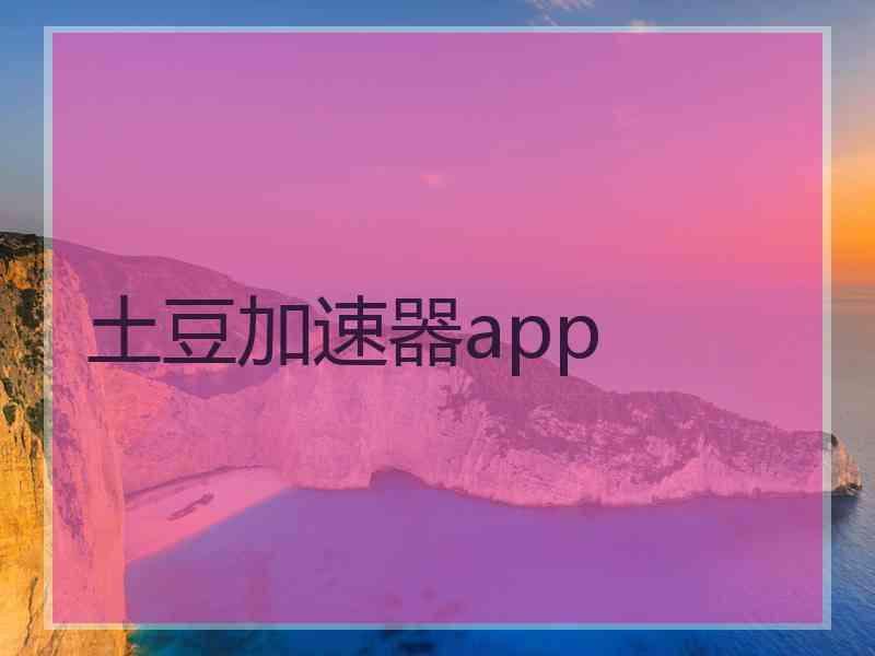 土豆加速器app