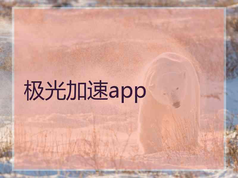 极光加速app