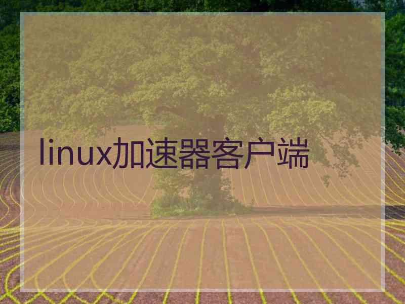 linux加速器客户端