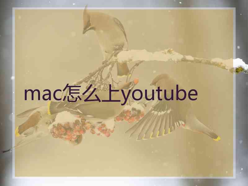 mac怎么上youtube