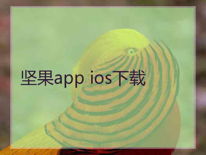 坚果app ios下载