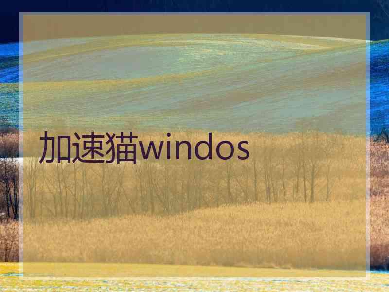 加速猫windos