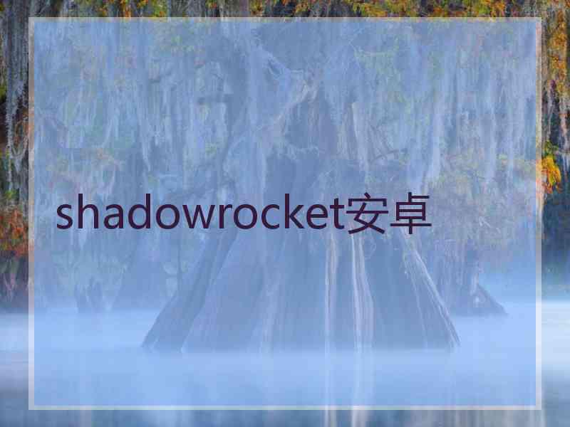 shadowrocket安卓