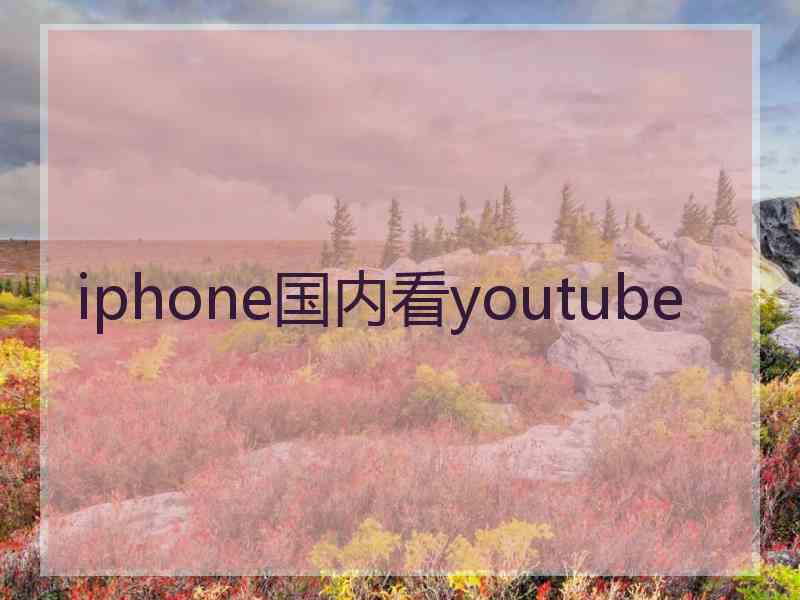 iphone国内看youtube