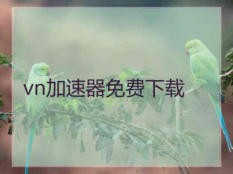 vn加速器免费下载