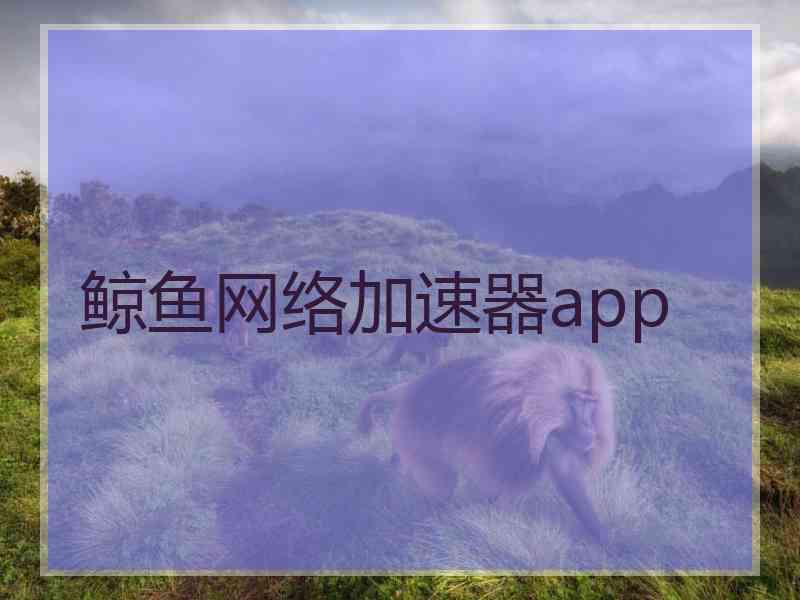 鲸鱼网络加速器app