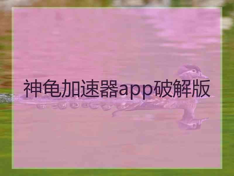 神龟加速器app破解版