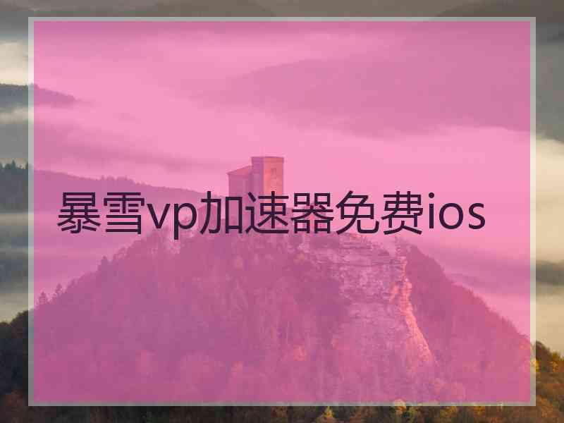 暴雪vp加速器免费ios