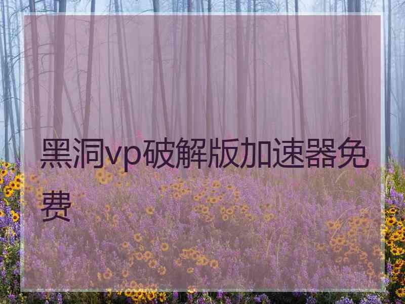 黑洞vp破解版加速器免费