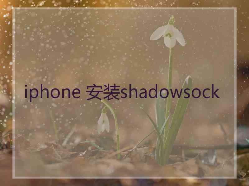 iphone 安装shadowsock